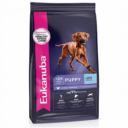 Eukanuba Puppy LB - Razas Grandes
