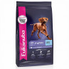 Eukanuba Puppy LB - Razas Grandes
