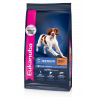 Eukanuba Senior