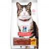 Hills Science Diet Hairball Control