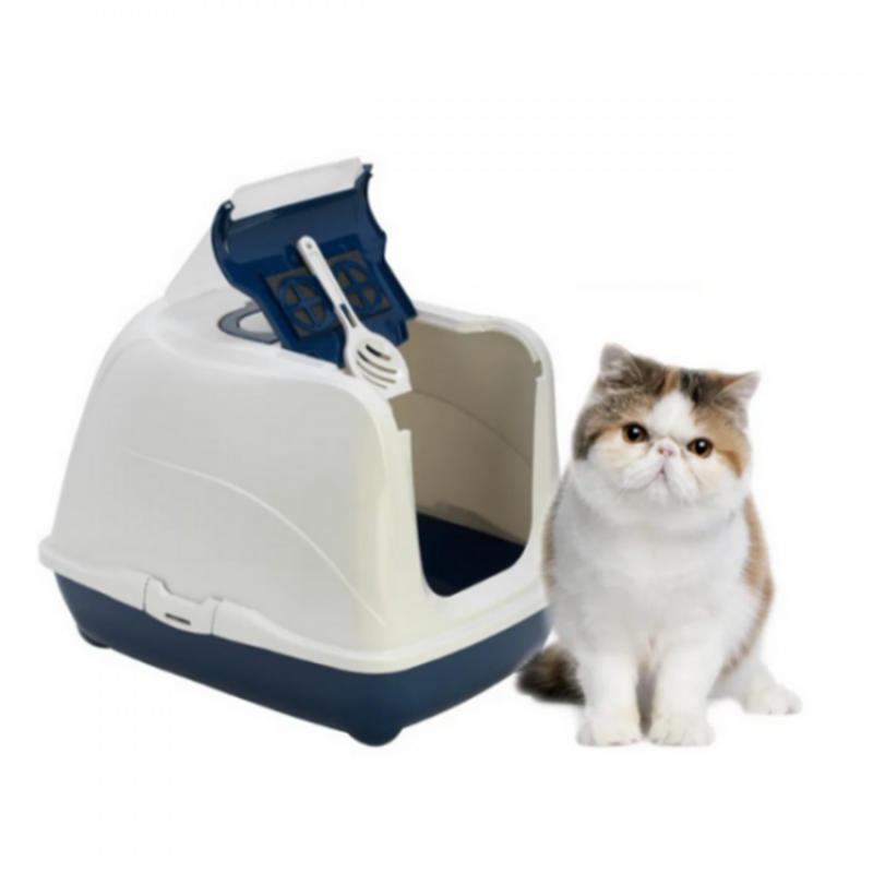 Casa Arenero Flip Cat