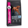 Eukanuba Adulto Razas Grandes