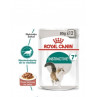 Royal Canin INSTINCTIVE +7 caja x12 sobres 85gr