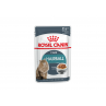 Royal Canin HAIRBALL CARE caja x12 sobres 85gr