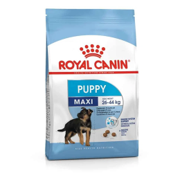 Royal Canin SHN MAXI Cachorros